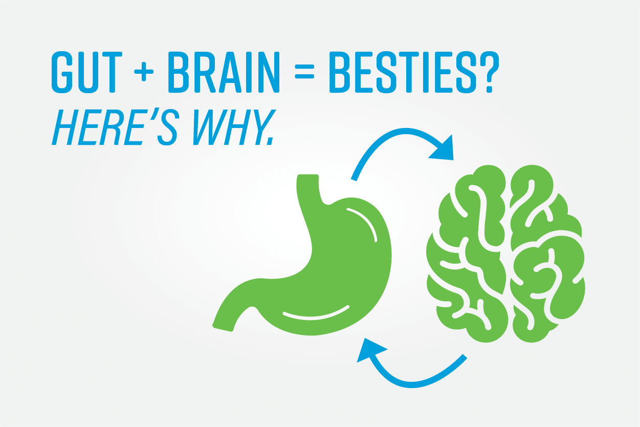 How Your Gut Effects Your Brain | Zenwise Research