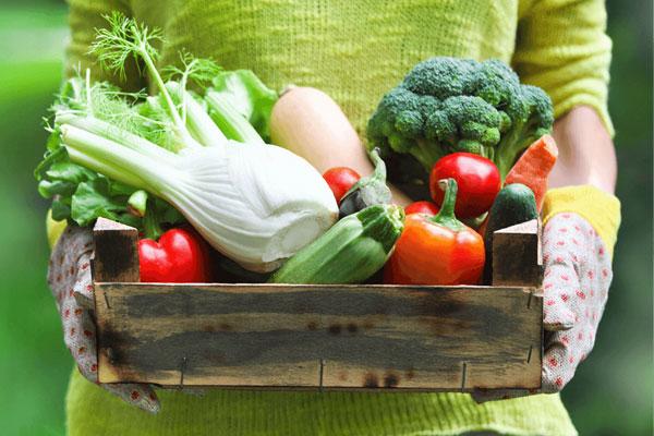 Plant-Based Diet Essential Vitamins | What Are You Missing?