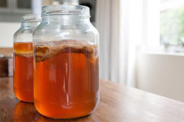Benefits of Fermented Tea – A Kombucha Primer
