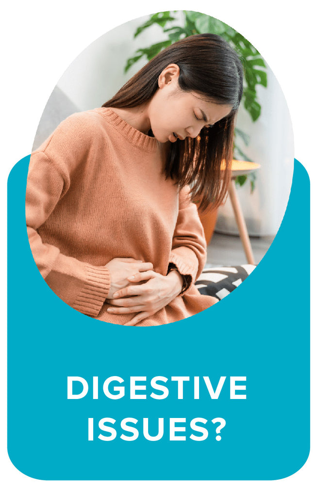 Digestive Support