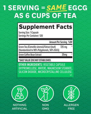 Green Tea Extract